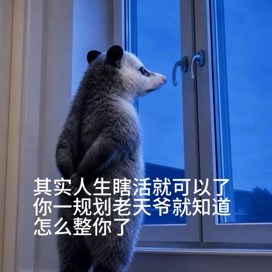 人生规划